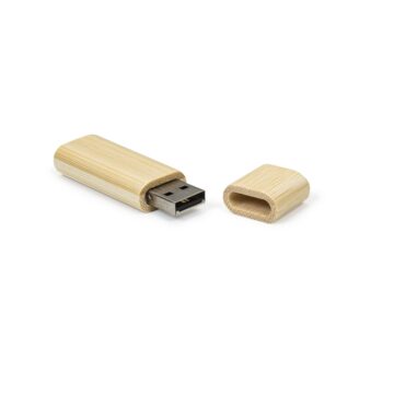 HB830 – Pen Drive Bambu 4GB